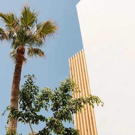 Petradi Lounge Hotel Rethymno (Crete)