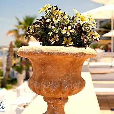 Petradi Lounge Hotel